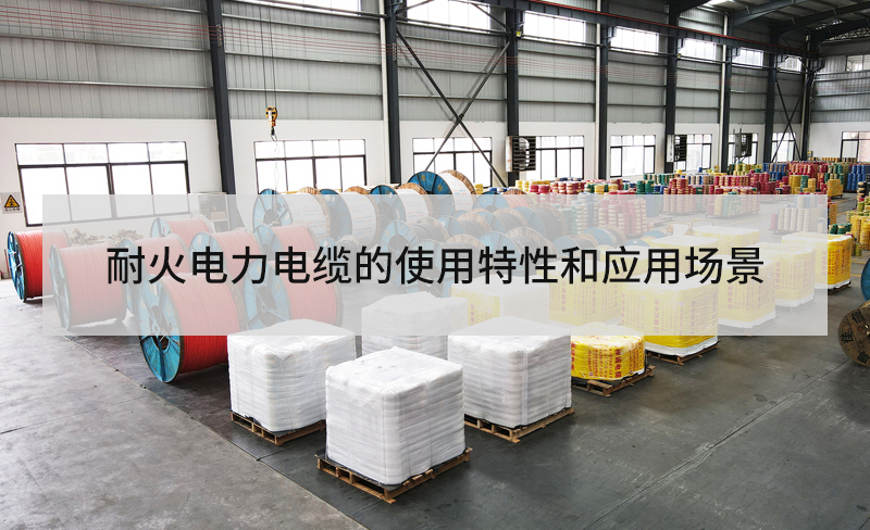 耐火快猫成人短视频APP下载的使用特性和应用场景