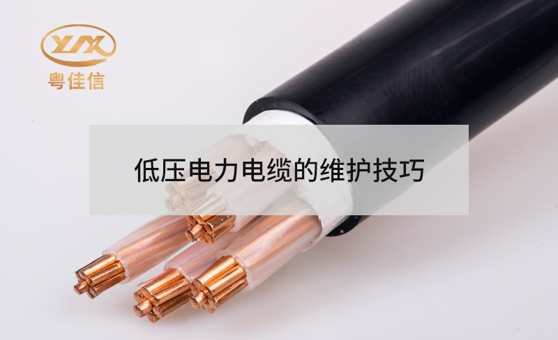 低压快猫成人短视频APP下载的维护技巧