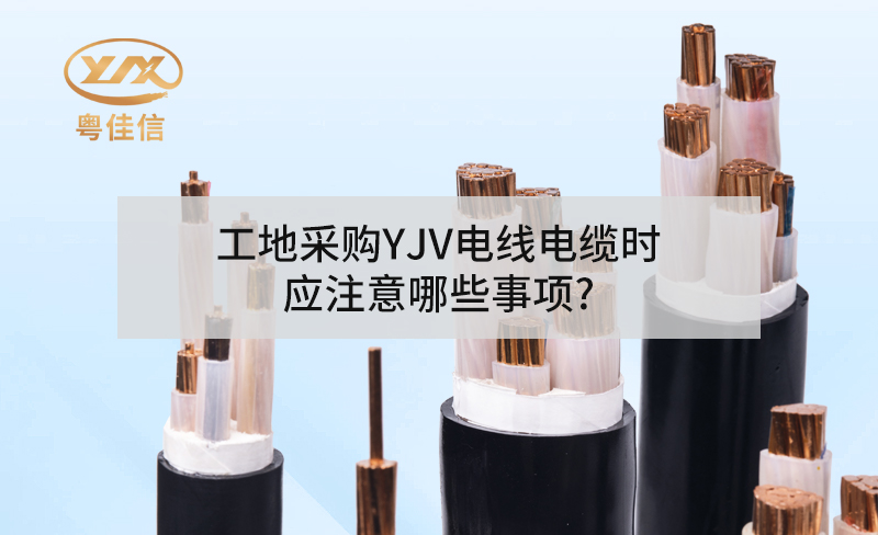 工地采购YJV快猫成人短视频APP下载时应注意哪些事项?
