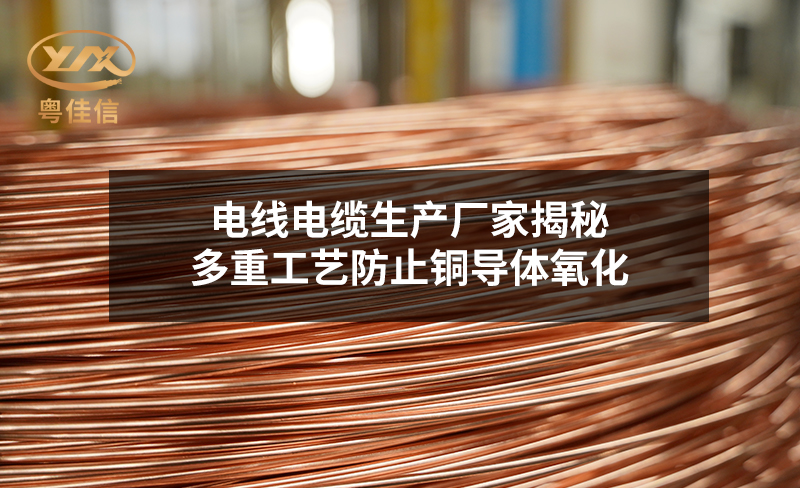 电线电缆生产厂家揭秘：多重工艺防止铜导体氧化