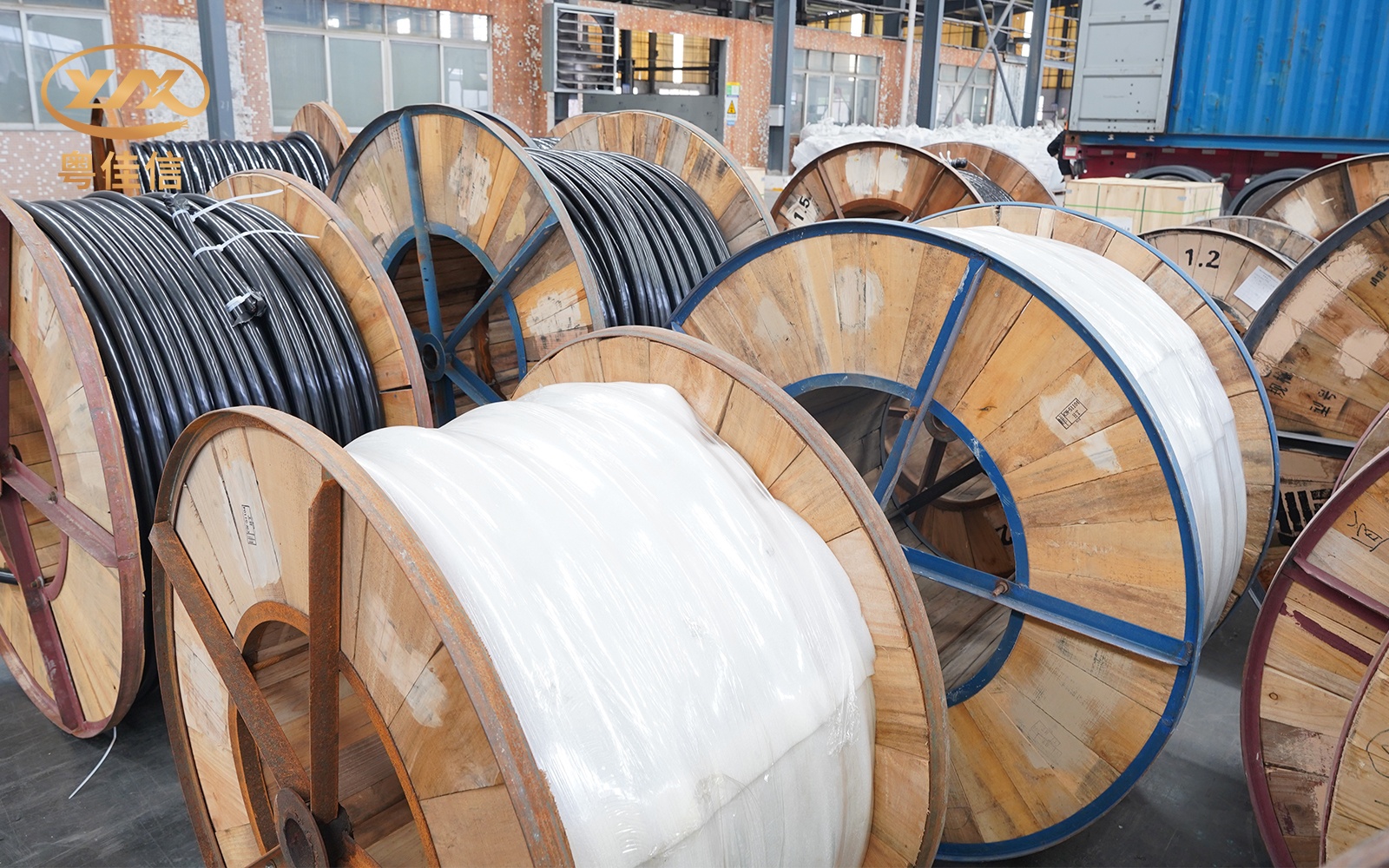 微信图片_2025-07-22_145904_339